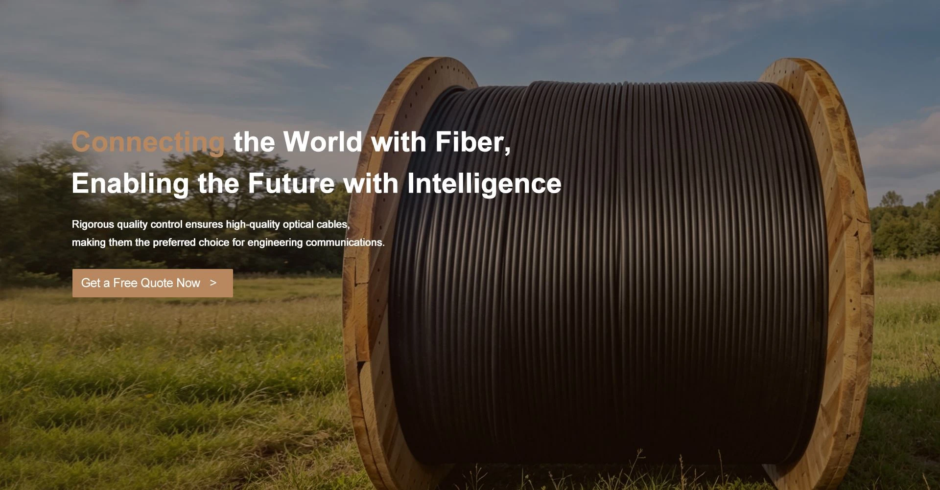 Connecting the World with Fiber